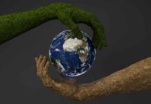 EU Sustainability Regulations Reshaping Global Supply Chains Reshaping Global Supply Chain