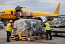 DHL Express Heavyweight Shipments in Asia Pacific Sees Surge Two workers in high-visibility vests and hard hats load a wrapped pallet from a pallet jack toward a DHL cargo plane on the tarmac.
